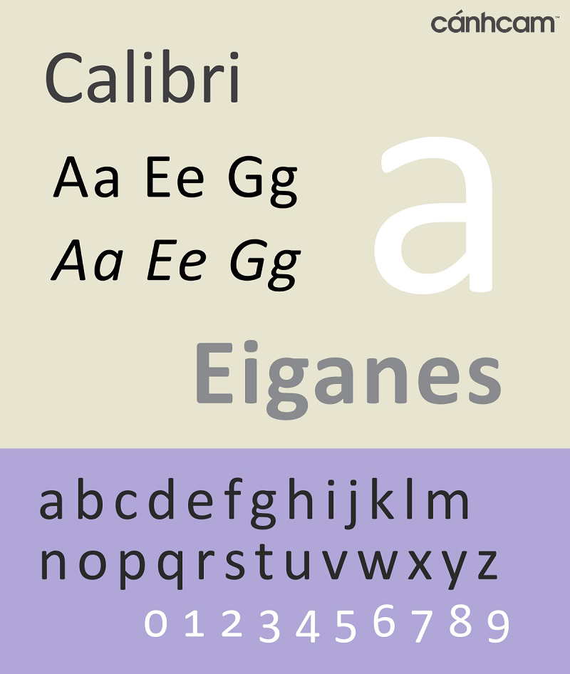 font-chu-tieng-viet-cho-website-8 font-chu-tieng-viet-cho-website-8