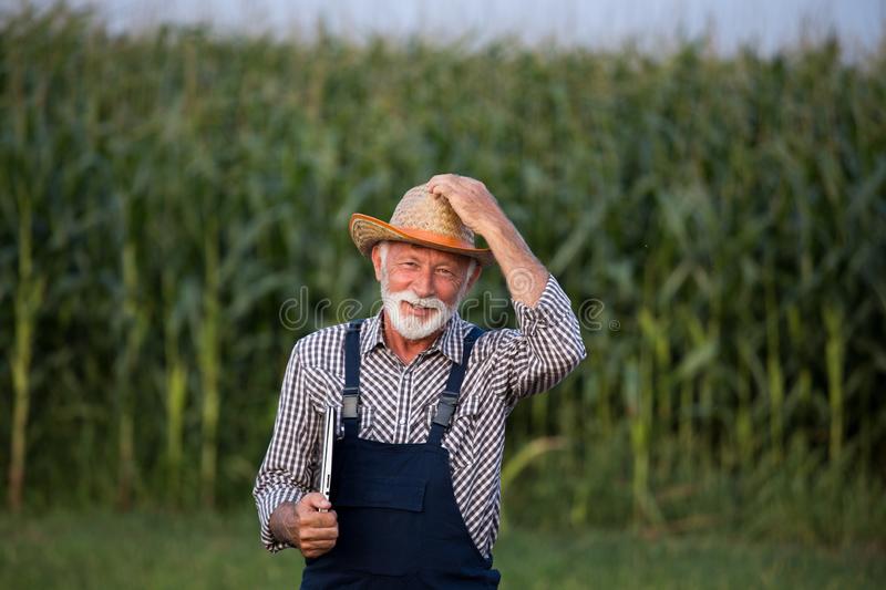 portrait-old-farmer-white-beard-portrait-old-farmer-white-beard-overall-straw-hat-corn-field-157201592